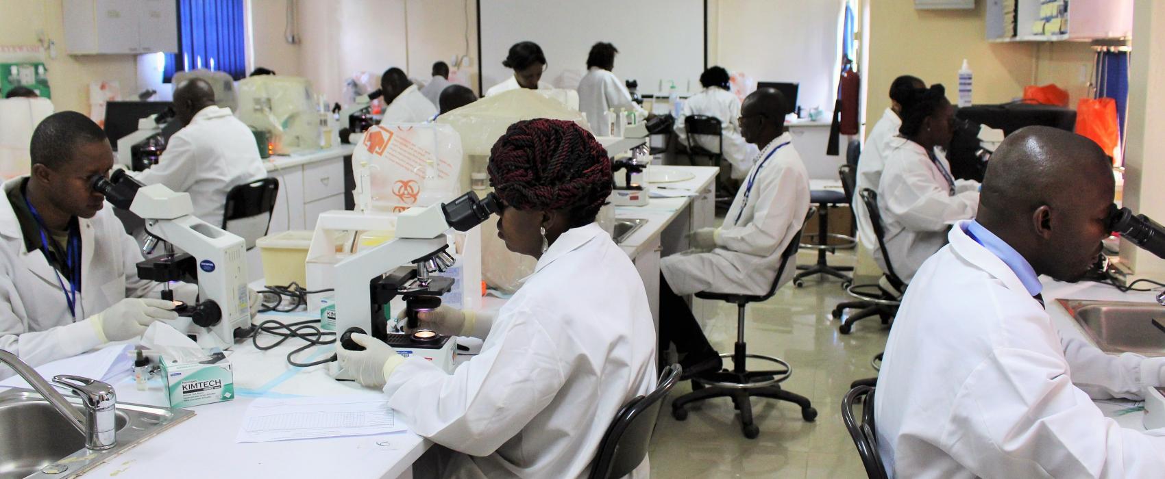 Scientists look through microscopes